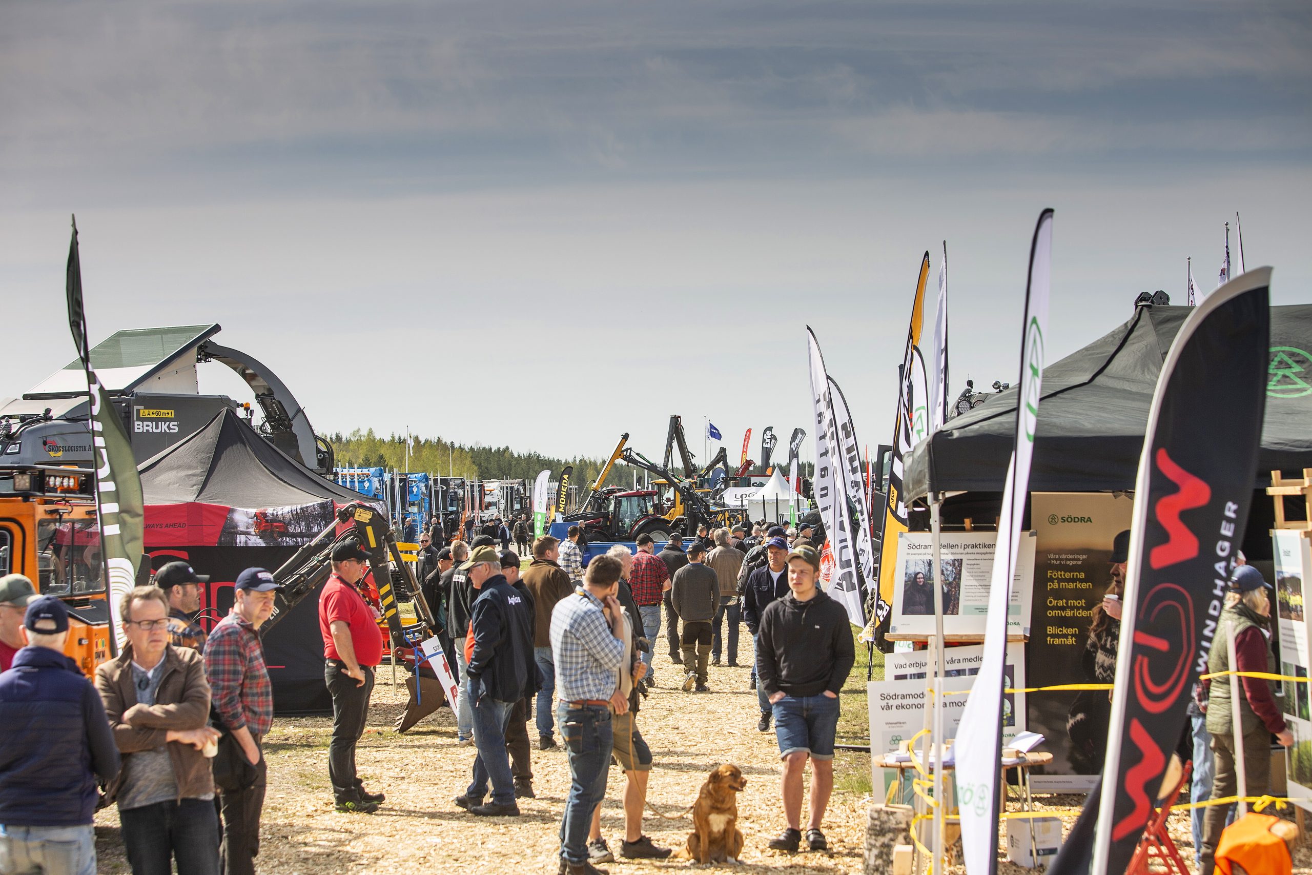 Skog & Traktor 2024 blev en succé. Publikrekord med 5.165 personer.
